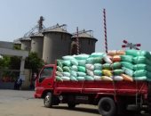 صور .. 25 منفذاً بكفر الشيخ يستقبل 37745 طناً و 940 كيلو من القمح 