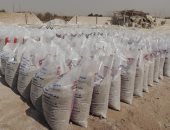 صور..ضبط أطنان أسمدة مغشوشة داخل مصانع غير مرخصة بالصف 