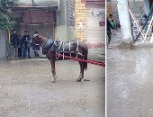 صور.. الطقس السىء يضرب المحافظات.. أمطار غزيرة تغرق الشوارع وتعيق حركة المرور.. وانقطاع الكهرباء بالقرى والمدن.. والمحافظون يشكلون غرف عمليات ويعلنون الطوارئ.. وتساقط الثلوج بالعين السخنة والمرور يغلق الطريق