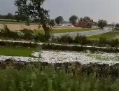 فيديو.. تساقط الثلوج على قرى بمحافظة المنوفية لأول مرة