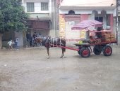 صور.. موجة رعدية ممطرة تضرب محافظة الشرقية