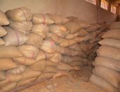 مصر تطرح مناقصة عالمية لشراء كمية غير محددة من القمح للشحن فى 11-20 سبتمبر