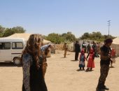 شاهد ..عملية توزيع إغاثات مركز الملك سلمان على المخيمات فى مأرب