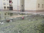صور.. مياه الصرف الصحى تغرق مساكن الإسراء ببورسعيد والسكان يشتكون