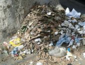 تراكم القمامة بشارع الكورنيش أمام قصر ثقافة أسوان يزعج المواطنين