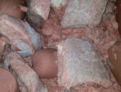 القبض على مدير مصنع لانشون بدون ترخيص فى الإسكندرية يستخدم مواد فاسدة