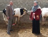 تحصين 7 آلاف و203 رؤوس ماشية ضد مرض الحمى القلاعية بجنوب سيناء