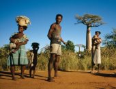 ترجمة أول رواية من مدغشقر للغة الإنجليزية.. احذر تاريخ المؤامرات والعبودية