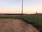 مواطن بالشرقية يناشد المحافظة لإزلة عمود إنارة من مخالف بأرضه الزراعية 