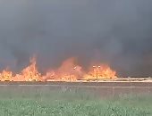 السيطرة على حريق بـ"هيش" بجوار مضرب الأرز فى كفر الشيخ