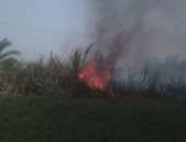 السيطرة على حريق بزراعات القصب بمنطقة الحبيل قبل وصولها للمنازل.. صور