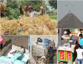 الشارع فى أسبوع.. تحقيق الحلم محتاج تعب.. الست المصرية تقدر تتحدى الظروف وتعيش.. رحلة البحث عن الأمان وسط الشقا .. حبة غزل فى الصبايا.. وعلاقة المصريين بالفول والقمح ما بتنتهيش