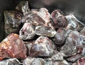 ضبط لحوم  فاسدة داخل مصنع بالمنطقة الصناعية ببورسعيد