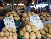 روسيا اليوم: حظر دخول 140 طن بطاطس مصرية إلى روسيا