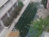 صور.. قارئ يشكو من انتشار مياه الصرف الصحى بشارع المعهد الدينى بالإسكندرية