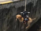 فيديو.. هندى يطور طائرة بدون طيار لإنقاذ كلب صغير عالق