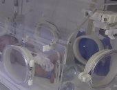 العثور على طفلة رضيعة ملقاة بصندوق قمامة فى السويس