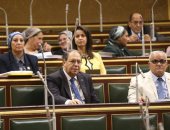 صور.. برلمانيون يطالبون بتشكيل لجنة تقصى حقائق فى واقعة "غرق القاهرة الجديدة"