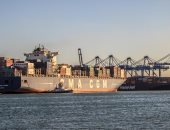 ميناء دمياط : بدء التشغيل الفعلى لمشروع ميكنة محطة الحاويات