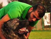 صور.. نجوم الأهلى مع الكلاب الأكثر شهرة على مواقع التواصل الاجتماعى