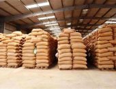 محافظ سوهاج : توريد 80 ألف طن قمح للشون والصوامع من المزارعين