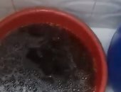 قارئ يشكو تلوث مياه الشرب فى شبرا الخيمة