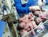 صور.. زوجة تضع 5 توائم بكفر الشيخ (تحديث)