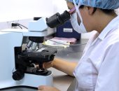 استنباط خلايا بنكرياسية نسيجية لعلاج مرض السكر من النوع الأول