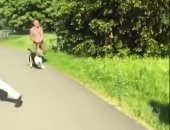 روسيا اليوم: ألمانى يطلق كلبيه على لاجئ سورى (فيديو)