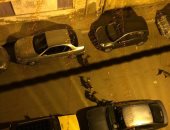 قارئ يشكو انتشار الكلاب الضالة بشارع جمال عبد الناصر بالإسكندرية