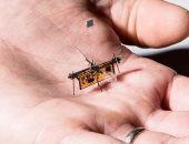مهندسون أمريكيون يطورون روبوت طائر فى حجم الحشرة