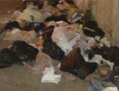 انتشار القمامة يثير غضب أهالى منطقة مساكن عثمان فى عين شمس بالقاهرة