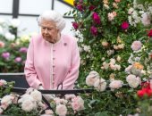 ملكة بريطانيا ترفض الخضوع لجراحة فى الركبة لعدم تفويت أية ارتباطات