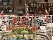 صورة اليوم.. رمضان أهو نور فوانيسه