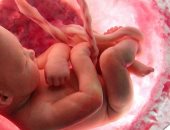 هل المشيمة مسؤولة عن الولادة المبكرة؟.. دراسة عملية تجيب 