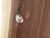 "صحة بنى سويف" تغلق 23 منشأة خاصة لعملها بدون تراخيص