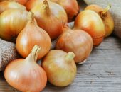 فوائد البصل لصحة الجسم والبشرة والشعر