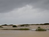 صور.. استمرار تحرك الإعصار "مكونو" باتجاه سواحل سلطنة عمان