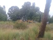  رياح وأمطار قوية تتسببان في سقوط شجرتين على شريط السكة الحديد بسوهاج 