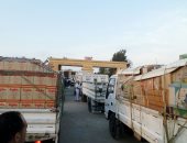 صور.. وصول قافلة المساعدات المقدمة من الأزهر إلى قطاع غزة