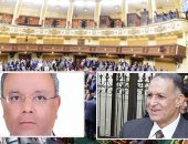 نواب يهاجمون بيان الاتحاد الأوروبى عن الأوضاع فى مصر.. لجنة الدفاع: كاذب وتدخل سافر فى الشأن الداخلى لمصر وليس لدينا أى معتقلين.. ونائب: اعتدنا مثل هذه البيانات والدولة حققت نجاحات كبيرة فى مجال حقوق الإنسان