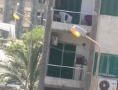 قارئة ترصد إضاءة أعمدة الكهرباء ليلا ونهارا فى منطقة سموحة بالإسكندرية
