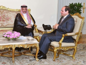 المتحدث باسم الرئاسة: الرئيس السيسى بحث مع أحمد القطان ملف مكافحة الإرهاب
