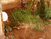 صور وفيديو.. إهدار مياه الشرب بسبب أعطال شبكات المياه وغرق أحد شوارع موط