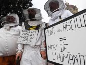 صور..نشطاء يقيمون جنازة رمزية للنحل احتجاجا على استخدام المبيدات فى باريس