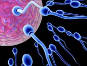 للرجال فقط..الإجهاد يتسبب فى إنتاج حيوانات منوية ضعيفة بمعدل 47%