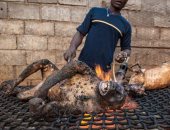 فى مشهد بشع.. صياد يشوى "قرد" على النار فى غينيا الاستوائية
