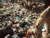 صور.. اضبط مخالفة.. انتشار القمامة فى حى غرب شبرا الخيمة