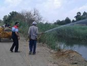 البدء فى رش اليريقيات على أسطح المجارى المائية ببنها