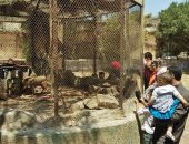 صور.. عرض الثعابين بحديقة الحيوان ببنى سويف يجذب الزوار وأطفالهم